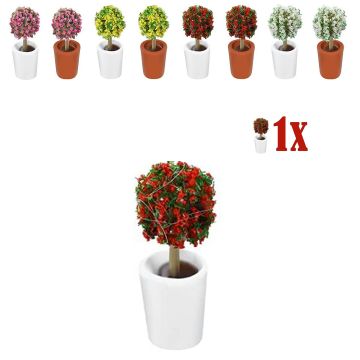 Mini Bolstruik Rode Bloempjes in Wit Bloempotje - 2.3 cm