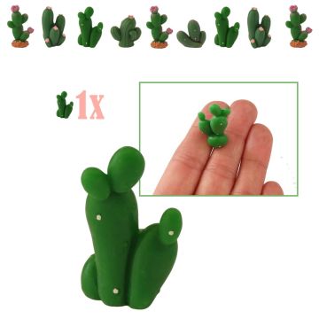 Mini Bunny Ear Opuntia Cactus