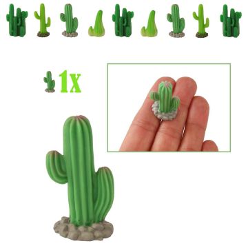 Mini Cardon Zuilcactus