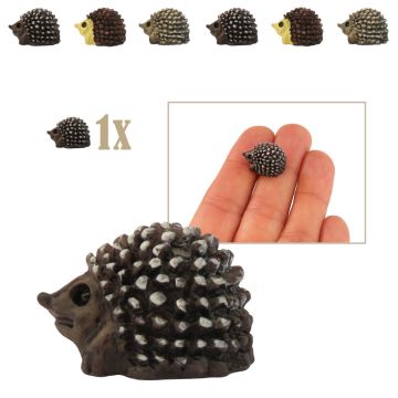 Mini Egeltje met Donkere Snuit