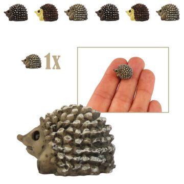 Mini Egeltje met Lichte Snuit