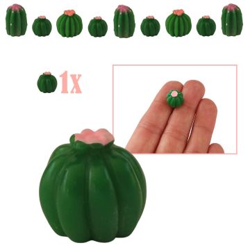 Mini Gymno Ribbelcactus