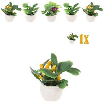 Mini Vetplantje Gele Bloemen in Bloempot - 2.7 cm