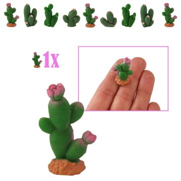 Mini Vijgcactus met Roze Bloemen
