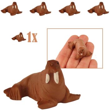 Mini Walrus 