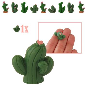 Mini Woestijncactus met Roze Bloem