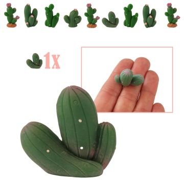 Mini Zuilcactus met Stippen