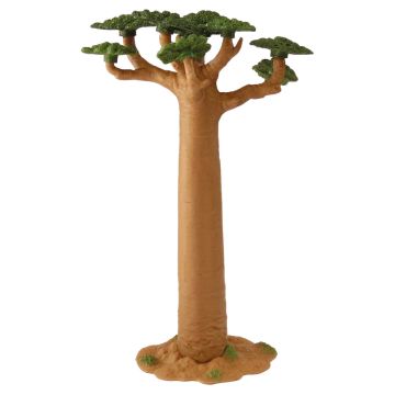 Miniatuur Baobab Boom