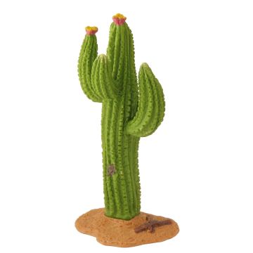 Miniatuur Cactus