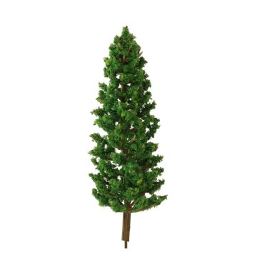 Miniatuur Conifeer - 11 cm