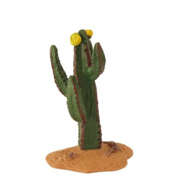 Miniatuur Euphorbia Cactus