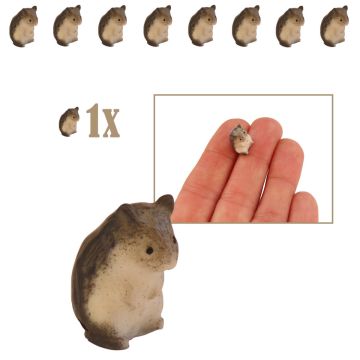 Miniatuur Hamster