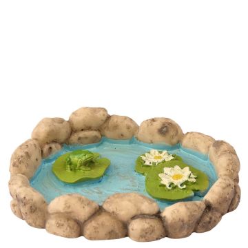 Miniatuur Kikkerpoel