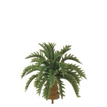 Miniatuur Kokospalm - 2.5cm