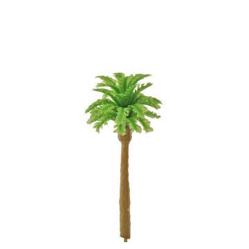 Miniatuur Kokospalm Lichtgroen - 6 cm