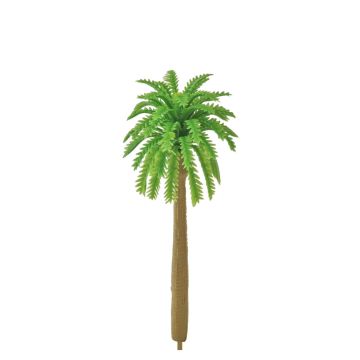 Miniatuur Kokospalm Lichtgroen - 8 cm