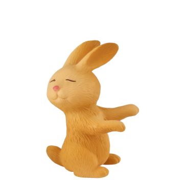 Miniatuur Konijn Bunny