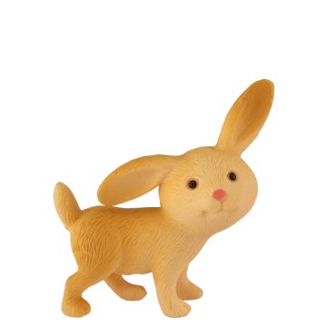 Miniatuur Konijn Flappie