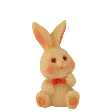 Miniatuur Konijn Snuitje