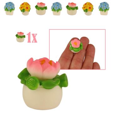 Miniatuur Lotusplantje met Zaaddozen in Bloempot
