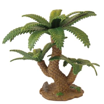 Miniatuur Sago-Palm