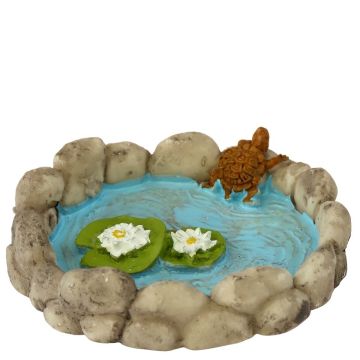 Miniatuur Schildpaddenpoel