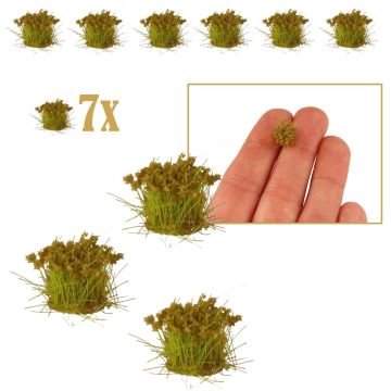 Miniatuur Veldbloemetjes Verwelkt
