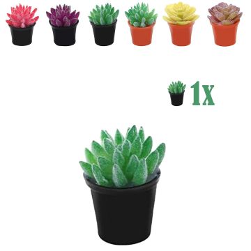 Miniatuur Vetplantje Groen in Bloempot - 2.2 cm