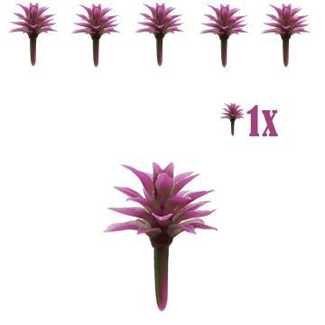 Miniatuur Vetplantje Groen Paars - 2 cm