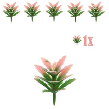 Miniatuur Vetplantje Groen Roze - 2 cm