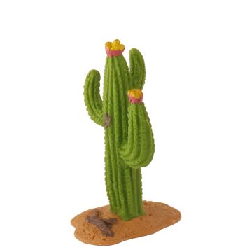 Miniatuur Zuilcactus