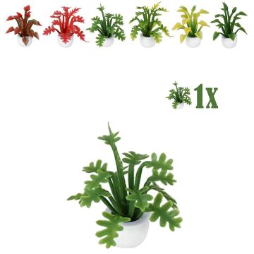 Miniatuurplantje Geveerd Blad Groen - 2.8cm