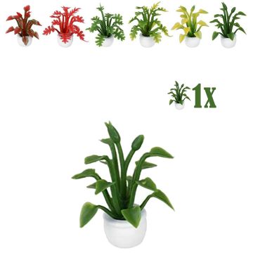 Miniatuurplantje Puntblad Groen - 2.8 cm