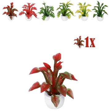 Miniatuurplantje Puntblad Rood Groen - 2.8cm