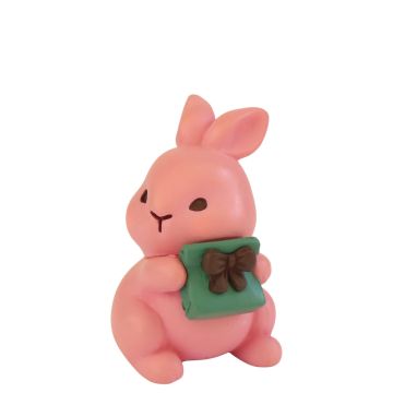 Mollig Miniatuur Konijn Dottie