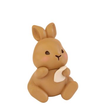 Mollig Miniatuur Konijn Skippy