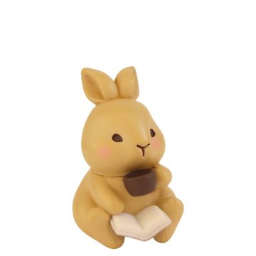 Mollig Miniatuur Konijn Toffie