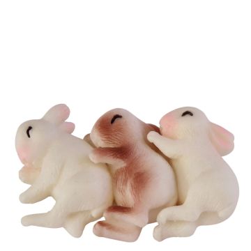 Slapende Miniatuur Konijntjes