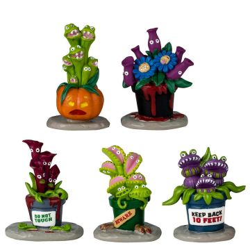 Spooky Town - Hungry Houseplant Horror - Set van 5  - Nu Voorverkoop