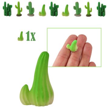 Stekelloze Mini Apenstaart Cactus