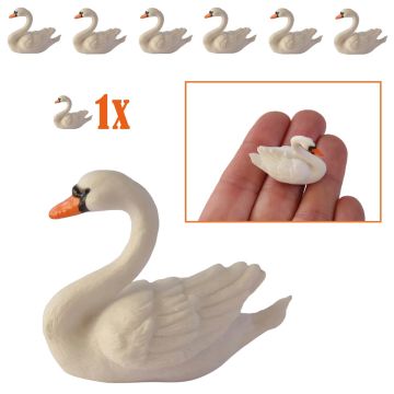 Witte Mini Zwaan