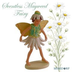 Bloemenelfje - Scentless Mayweed Fairy