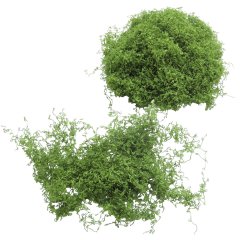 Miniatuur Mos Klimplant Legergroen