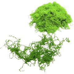 Miniatuur Mos Klimplant Lichtgroen