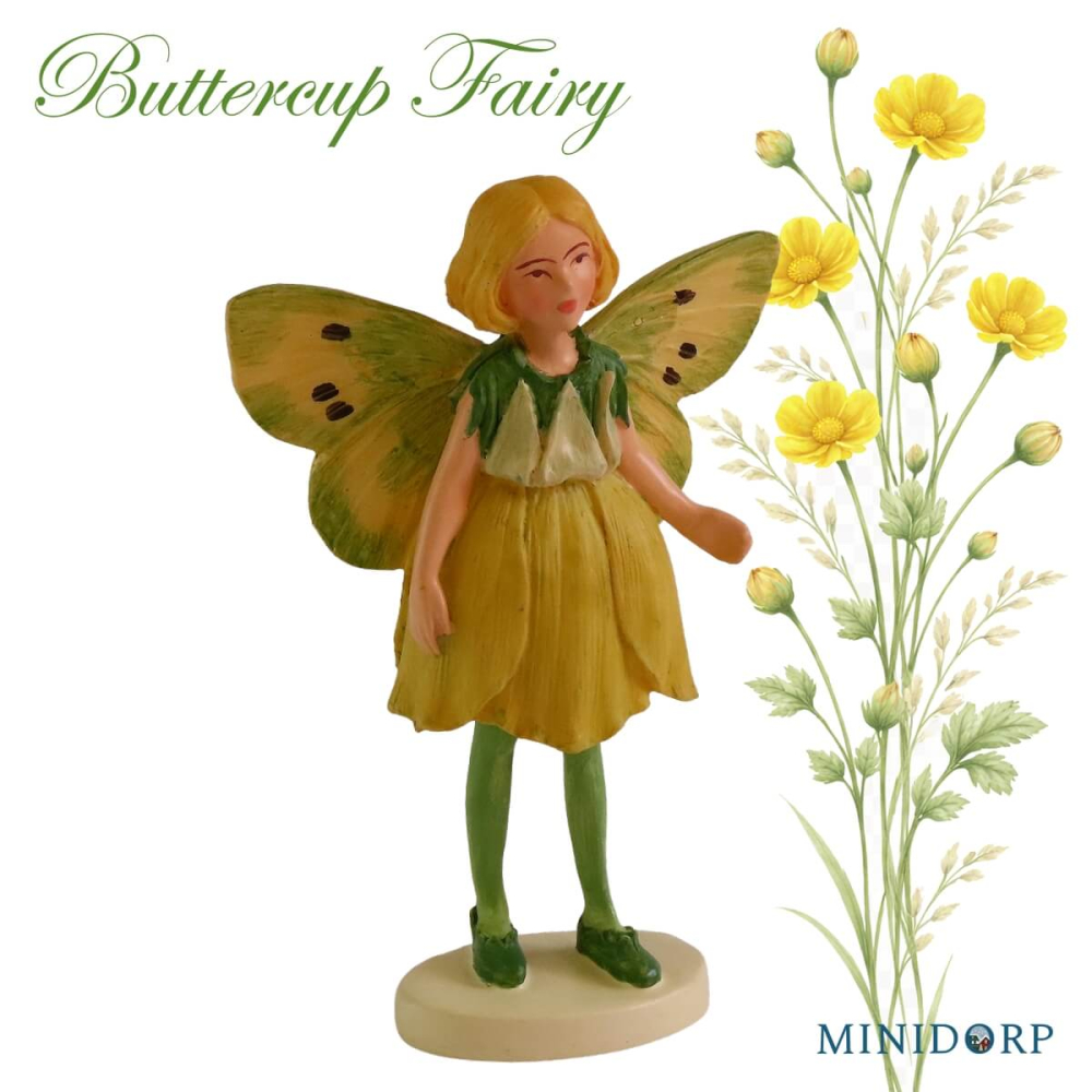 Bloemenelfje - Buttercup Fairy
