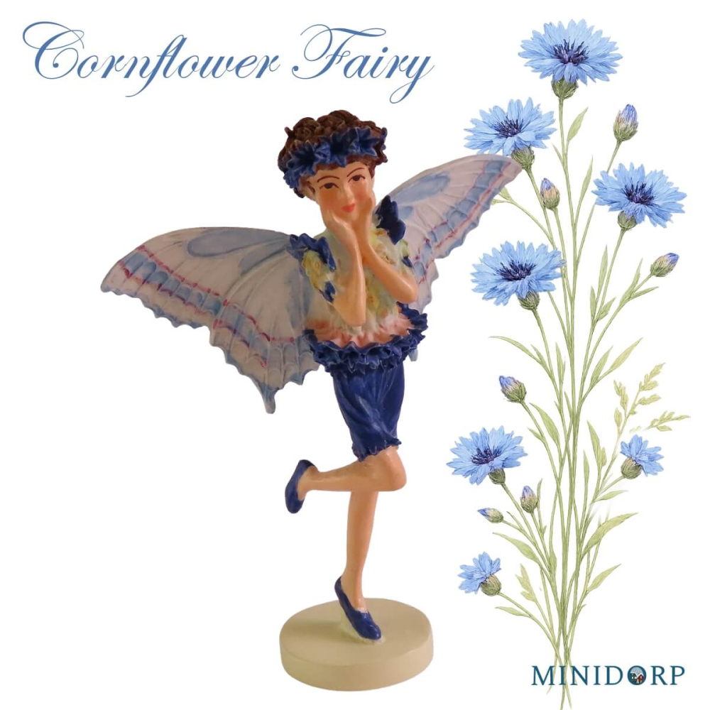Bloemenelfje - Cornflower Fairy