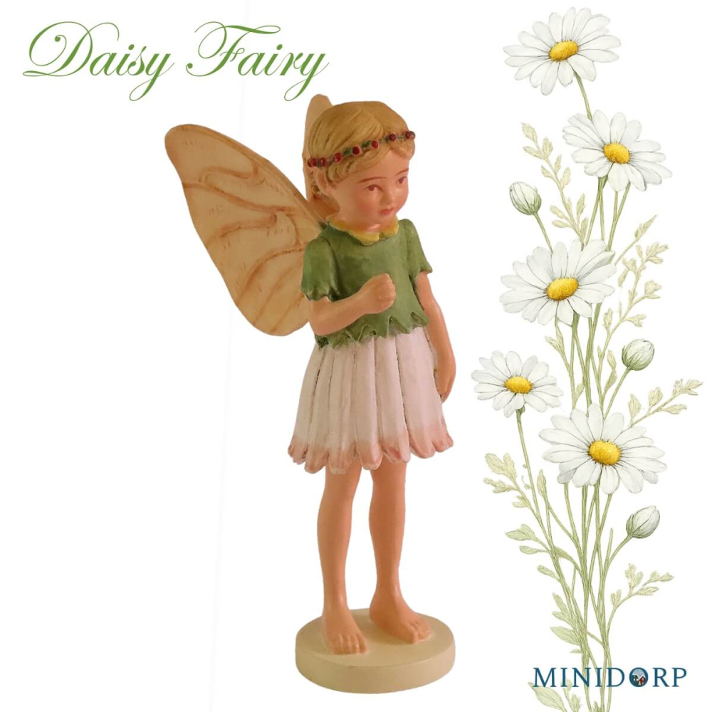 Bloemenelfje - Daisy Fairy