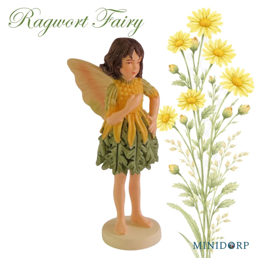 Bloemenelfje - Ragwort Fairy