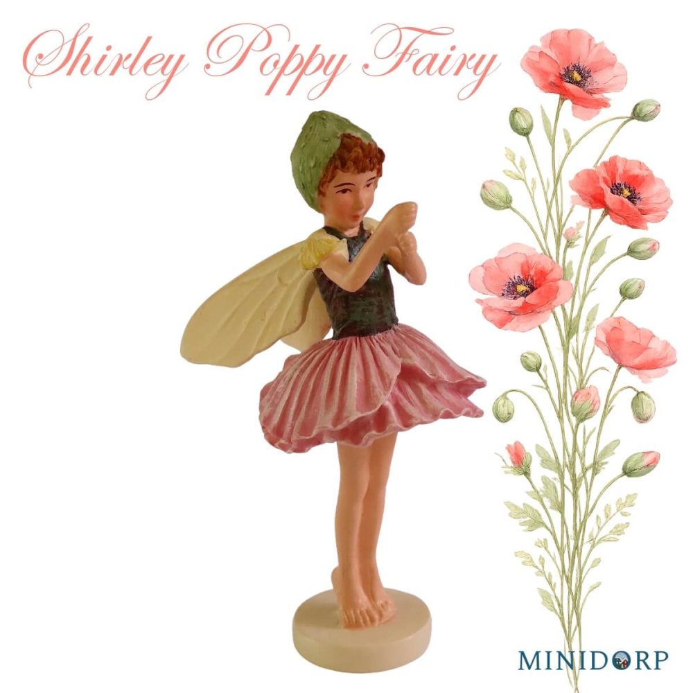 Bloemenelfje - Shirley Poppy Fairy
