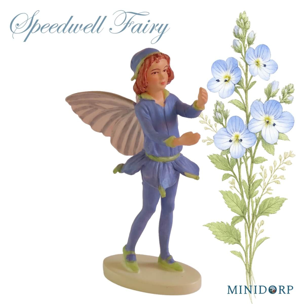 Bloemenelfje - Speedwell Fairy